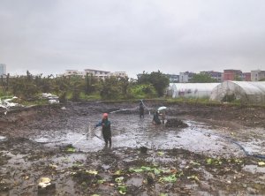 德保河道鱼塘清淤